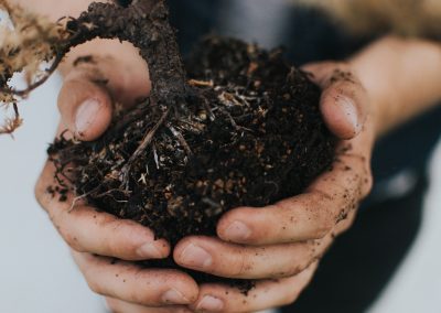 Bonsai-Grundlagen IBonsai für EinsteigerPflanze und Material inklusiv09. März 2024ABGELAUFEN