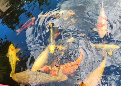 SOMMERFEST22 August 2026