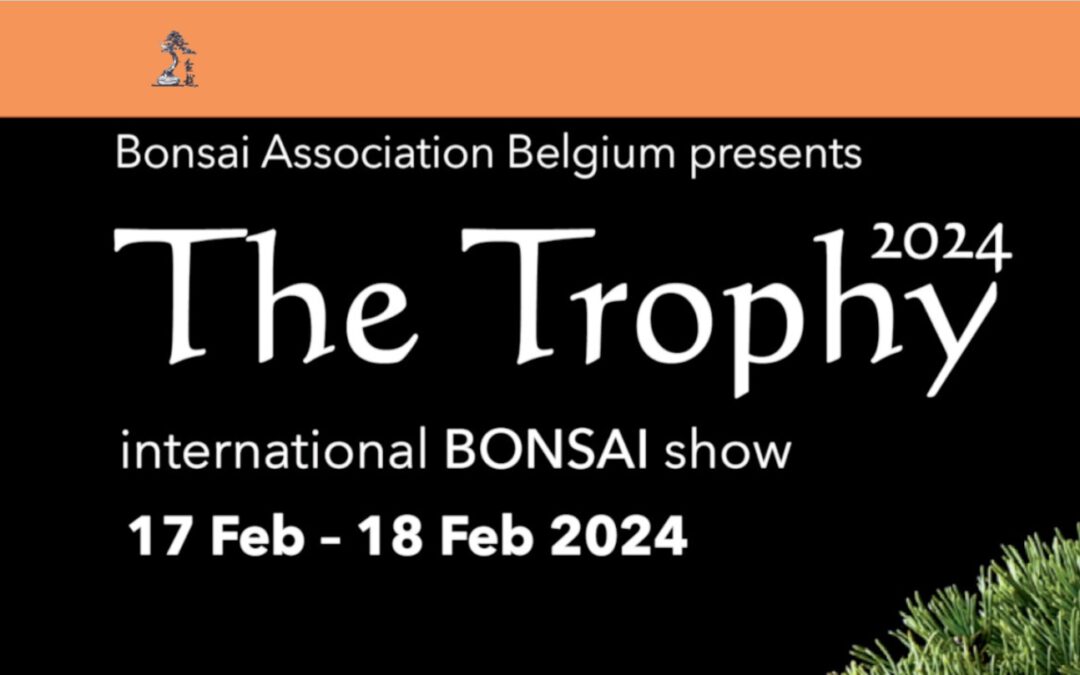 The TrophyBonsai Ausstellung in Genk/Belgien17. Februar 2024Ausflug mit dem Bonsai-AK