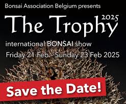 The TrophyBonsai Ausstellung in Genk/Belgien21.-23. Februar 2025Ausflug mit dem Bonsai-AK
