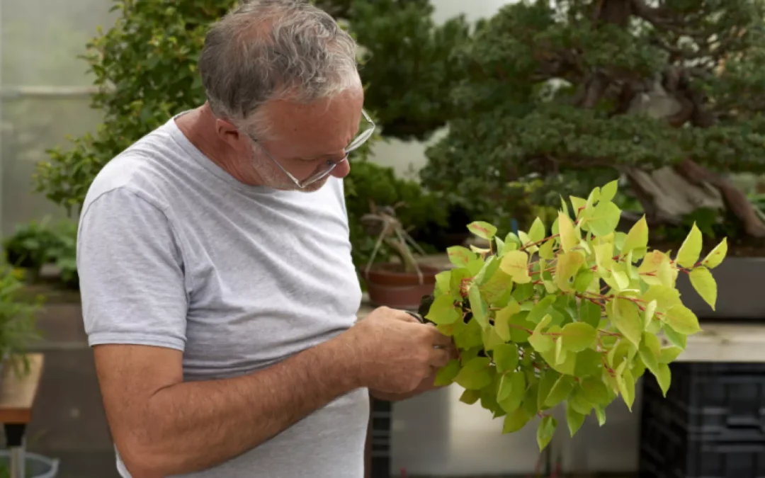 Workshop bei Othmar Auer in Brixen25.-26. Oktober 2027 AUSGEBUCHT